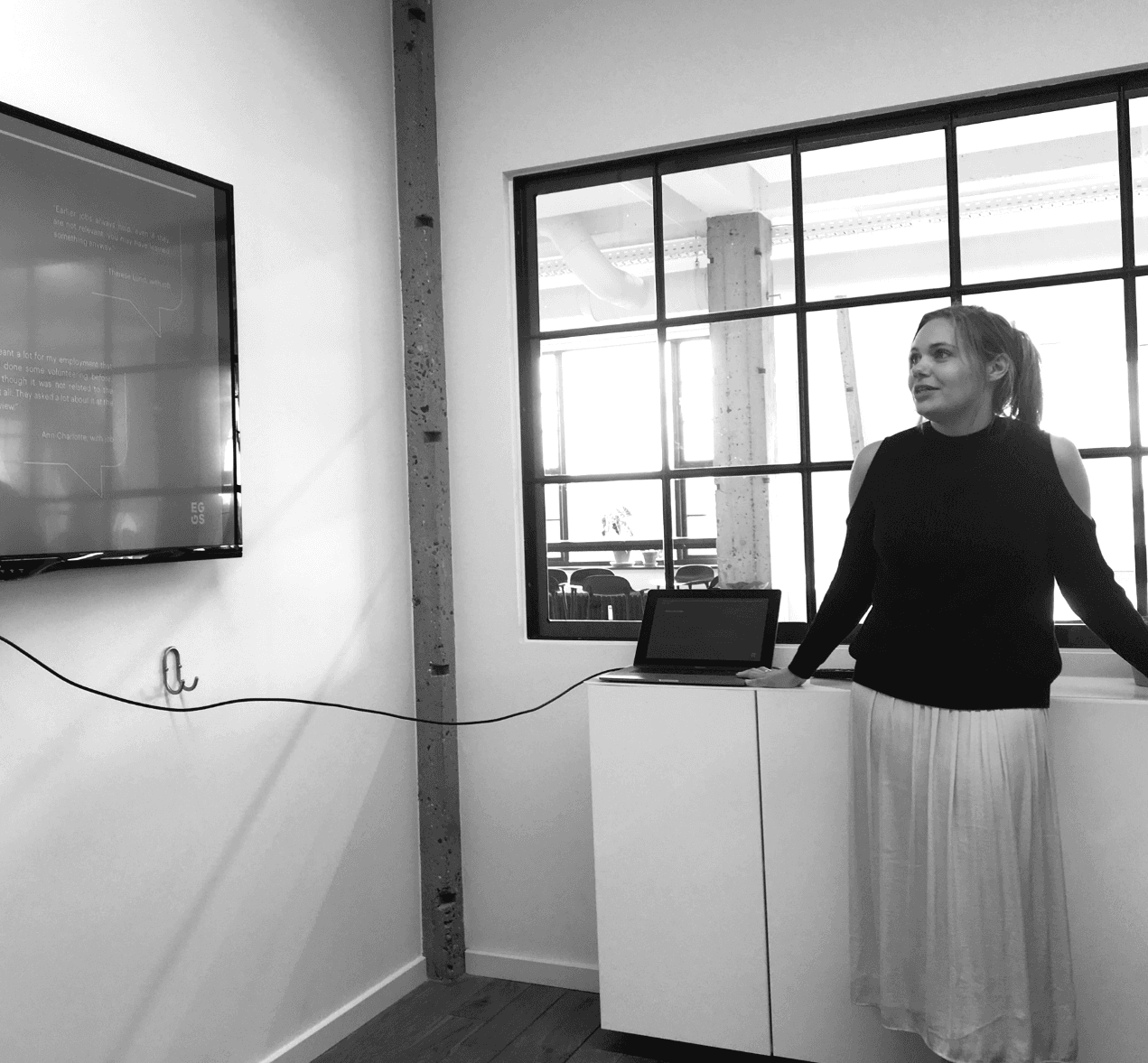 Presenting the insights and new business opportunities for the client